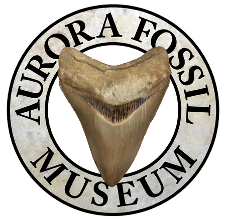 Aurora Fossil Museum Store