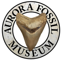 Aurora Specific