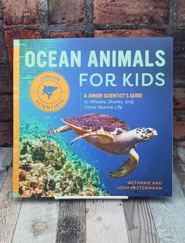 Ocean Animals For Kids