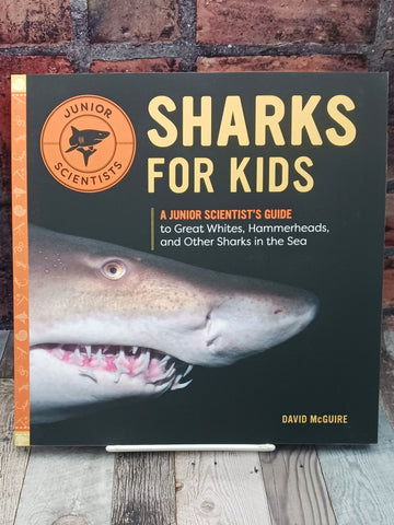 Sharks For Kids