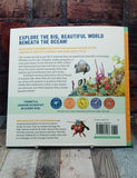 Ocean Animals For Kids