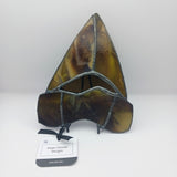 Stained Glass Meg Teeth
