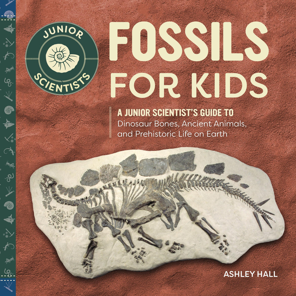 Fossils For Kids
