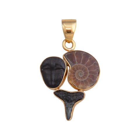 Alchemia Ammonite, Orthoceras & Amber Pendant