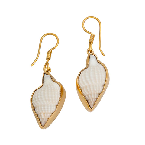 Alchemia Nassa Clothrata Shell Earrings