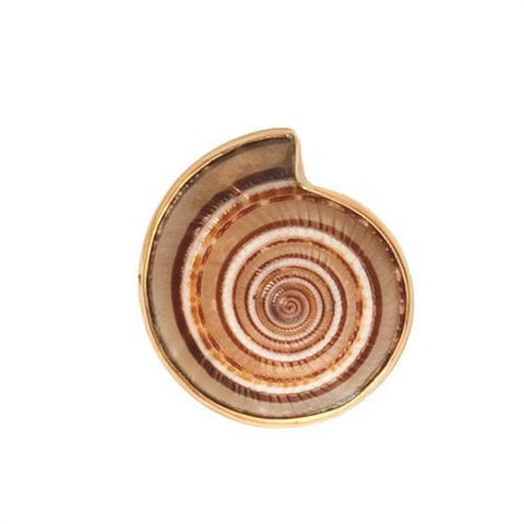 Alchemia Sundial Shell Adjustable Ring