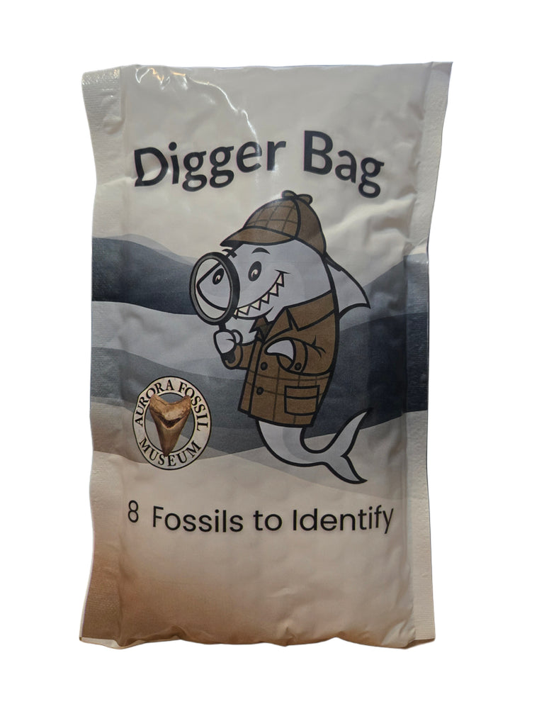 Fossil "Digger" Bag