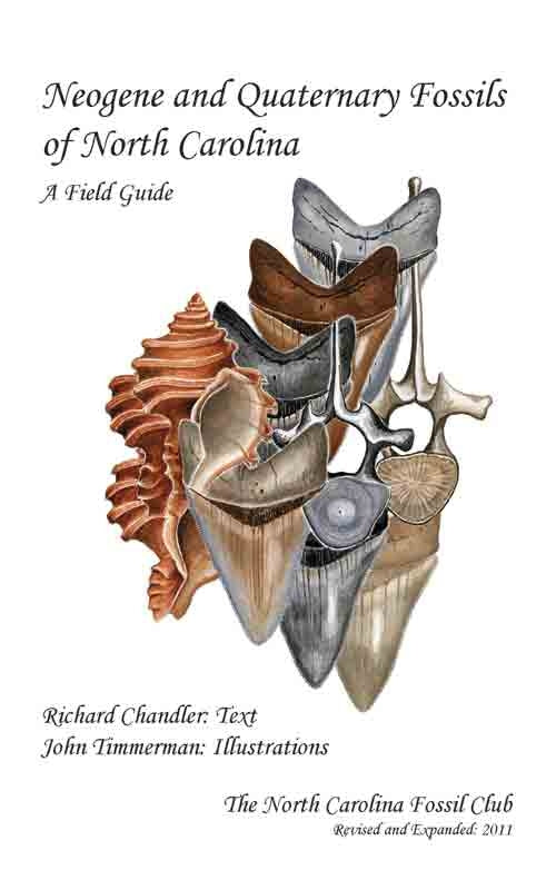 Neogene Fossils of North Carolina by Richard Chandler