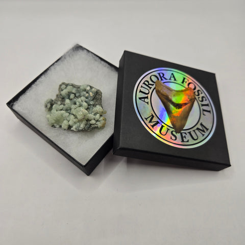 Prehnite