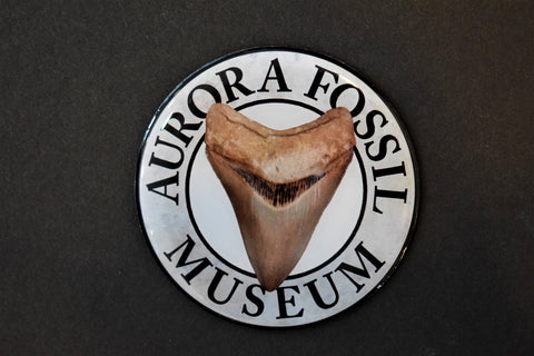 Official Aurora Fossil Museum Magnet
