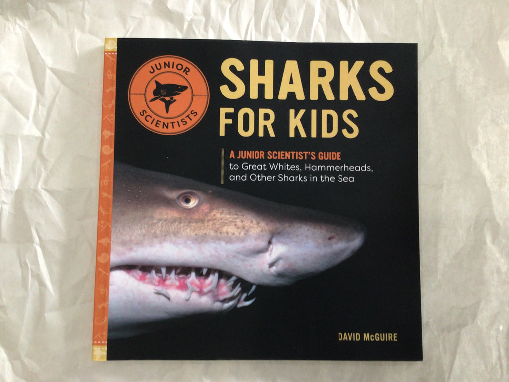 Sharks For Kids