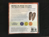 Fossils For Kids